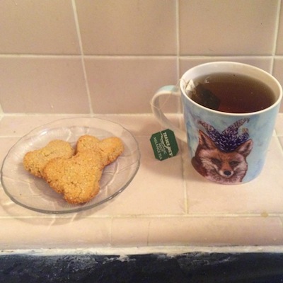 12750368_1012911468779361_685877479_n